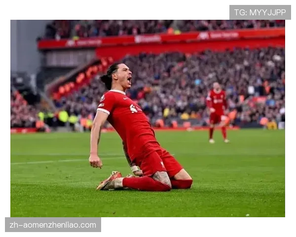 达尔文·努涅斯身价领跑亚冠 利雅得新月锋线核心